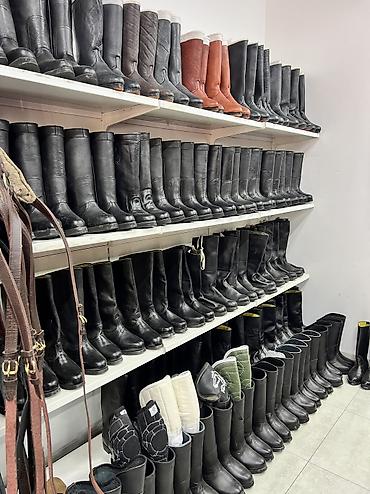 Другие животные: Ат жабдыктар — 8