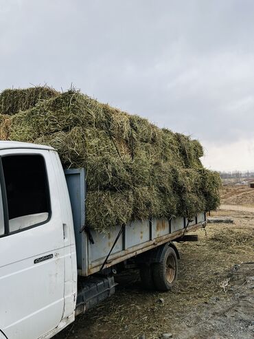 ГАЗ: ГАЗ GAZel: 2006 г., 2.4 л, Механика, Бензин — 2