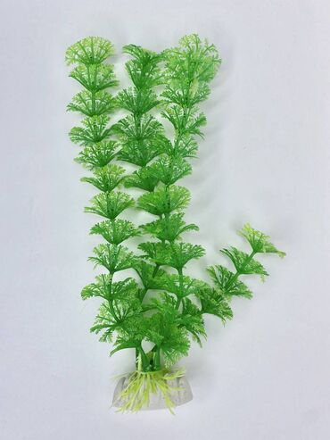 Другой домашний декор: Растение искусственное, длина 21см, точно имитирует живые водоросли