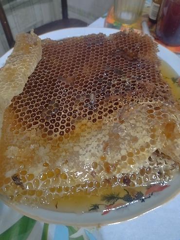 соты: Соты с натуральным мёдом - Цельные и не цельные пчелиные соты, очень — 2