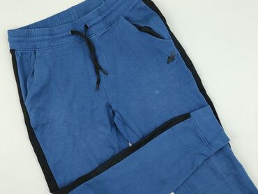 inextenso koszulki: 4F, Tracksuit bottoms for men, size L