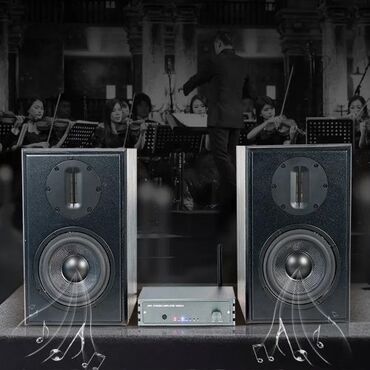 Динамики и колонки: Домашняя стереосистема Samtronic sound system + Усилитель ### **🎧
