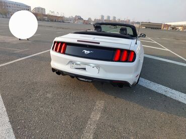Ford: Ford Mustang: 5 l | Kabriolet — 5