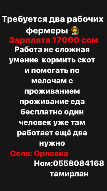 работа на стройку: Талап кылынат Ар түрдүү жумуштарды жасаган жумушчу, Төлөм Күн сайын, Тажрыйбасыз