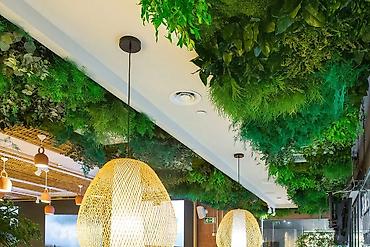 Başqa xidmətlər: Green House Azerbaijan. Dekor interyer Kafe×restoranlar üçün — 14