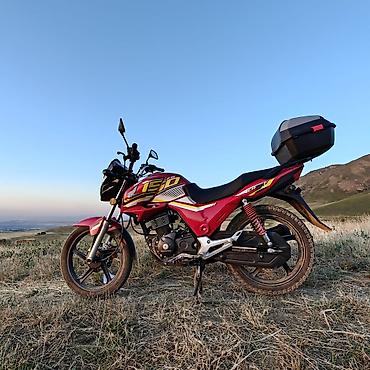 мото 300: Классический мотоцикл Honda, 150 куб. см, Бензин, Взрослый, Новый — 6