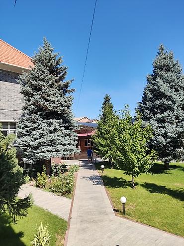 московская манаса: 1100 м², 6 комнат и более, 4 мкр — 4