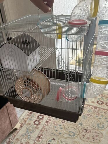 Geyimlər: Hamsterlər üçün təmizlənməsi asan, iki mərtəbəli, metal barmaqlıqlı