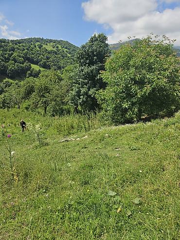dağ: 25 sot, Tikinti — 10