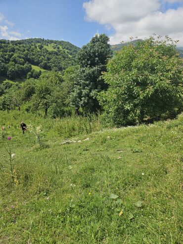 Torpaq sahələrinin satışı: Satış: Dağ mənzərəli torpaq sahəsi - Yaşıllıqla əhatəli, sakit təbiət — 7
