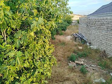 Torpaq: 4 sot, Tikinti, Mülkiyyətçi, Kupça (Çıxarış) — 6