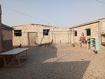 yer pompasi: Ferma satılır ferma Xızı rayonu yeni yaşma kəndində yerləşir 12 — 1