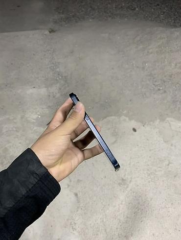 алфон 13: Смартфон Apple iPhone (серия 13/14, компактный форм‑фактор) — 2