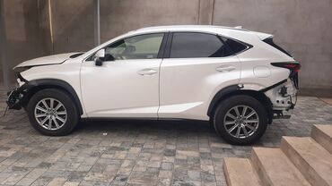 чехол для некси: Lexus NX: 2019 г., 2 л, Автомат, Бензин, Кроссовер