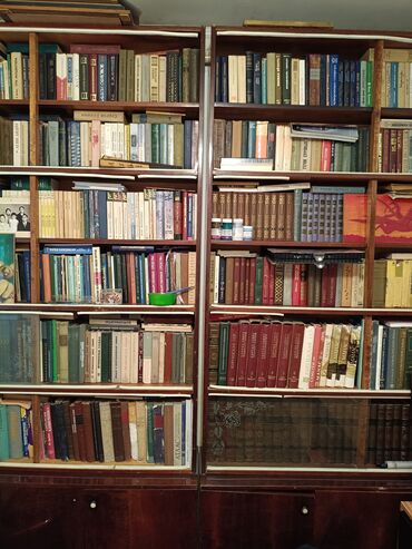 книжный шкаф офисный: Большая домашняя б гоиблиотека в классическом книжном шкафу. Состав