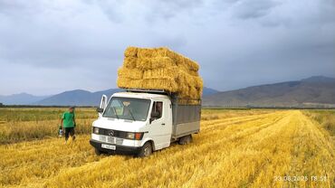 авто лизинг рассрочка: Сапок сатылат срочно