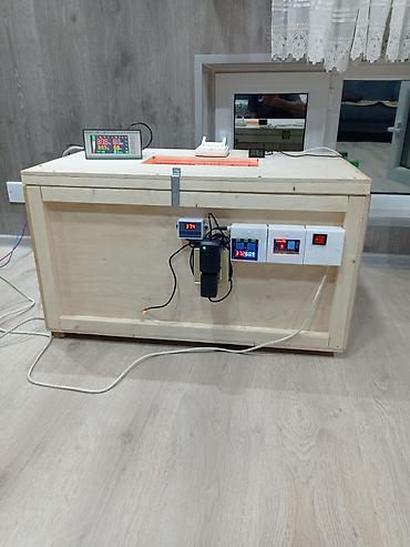 termostat inkubator: Tam avtomat — 1