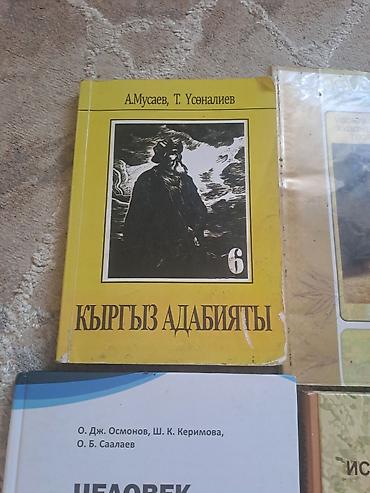 Учебники: Комплект школьных учебников для 6 класса (Кыргызстан) В набор входят — 6