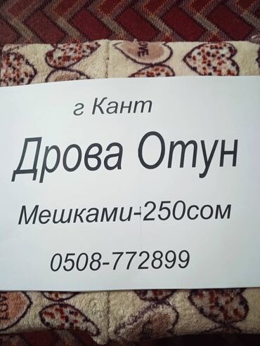курут оптом бишкек: Дрова Карагач, Самовывоз