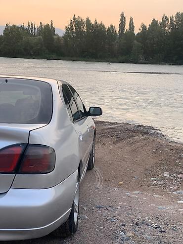 купить гибридный автомобиль: Nissan Primera: 2001 г., 1.8 л, Механика, Бензин, Хэтчбэк — 4