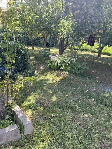 Продажа домов: Дача, 10 м², 6 комнат, Собственник, Старый ремонт — 4