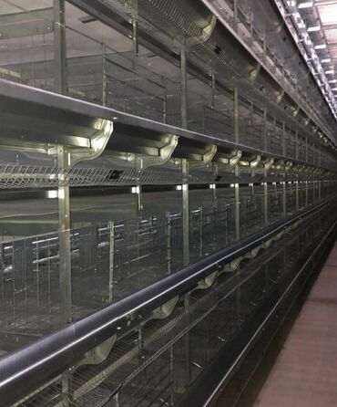 Qidalandırıcılar: Yem qabı, Yem üçün, Quşlar üçün, Rayonlara çatdırılma, Ünvandan götürmə, Pulsuz çatdırılma — 21