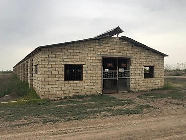 Kommersiya daşınmaz əmlakının satışı: 150 HEKTAR ƏRAZİ satılır İMİŞLİDƏ 110 HEKTAR Mülkiyyət Əkin — 6