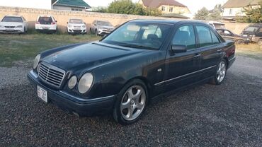 хочу купить мерседес спринтер грузовой 316 бу в германии: Mercedes-Benz E-Class: 1998 г., 4.3 л, Автоматические, Бензин, Седан