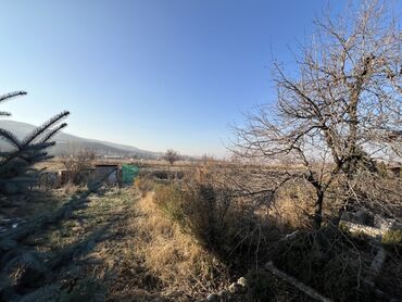 Продажа участков: 5 соток, Для сельского хозяйства, Красная книга, Тех паспорт, Договор купли-продажи — 9