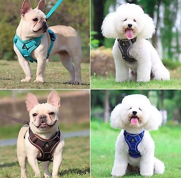 Зоотовары: ПРОДАЮ СУПЕР ПРОЧНЫЙ МЯЧЬ ДЛЯ СОБАК,А ТАК ЖЕ — 22