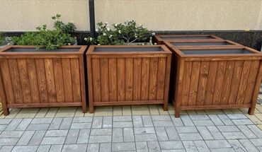 Bitkilər üçün dibçəklər: Restoranlar üçün dibçək qiymətlər fərqlidir Qiymət şərti qiymətdir — 3