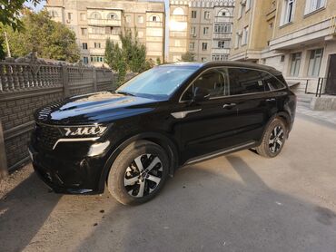 спрей скорая помощь: Kia Sorento: 2020 г., 2.2 л, Робот, Дизель, Кроссовер
