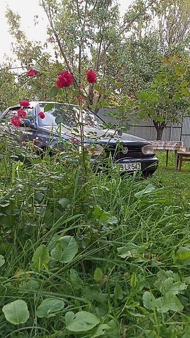 qəzi avto satış: Təcilli satılır.gələn ustasıyla gəlsin nə xərc var puldan — 1
