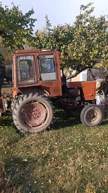 сайт продажи авто в монголии: Т 16 косилкасы бар. Т 25 соко,косилка,чизель, ботва рез,мала сы менен — 1