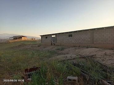 Продажа сельхоз предприятий: Токтогул шаары котормо айылынан айылдын четинен сарай уйу мн сатылат — 2