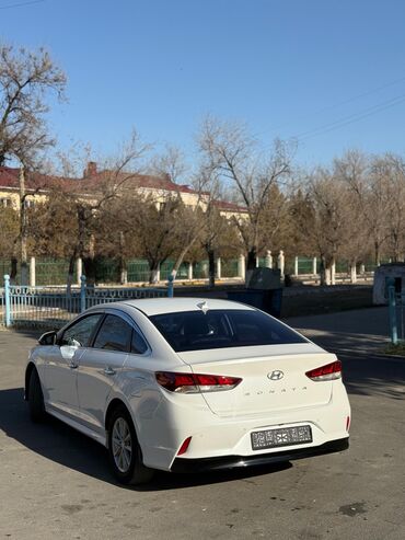 Hyundai: Hyundai Sonata: 2018 г., 2 л, Автомат, Газ, Седан — 6