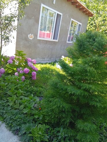 Günlük kirayə evlər: 40 kv. m, 2 otaqlı, Kombi, İnternet, Telefon -da lalafo.az — 9 Günlük kirayə evlər: 40 kv. m, 2 otaqlı, Kombi, İnternet, Telefon — 9