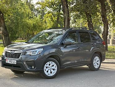Subaru: Subaru Forester: 2019 г., 2.5 л, Вариатор, Бензин, Кроссовер — 3