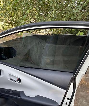 Солнцезащитные шторки и зонты: Солнцезащитный экран, Новый, Бесплатная доставка, Платная доставка, Самовывоз — 6