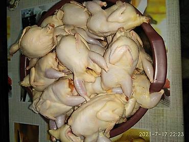 Перепела, вес 250 -300 грамм, мясистые тушки, молодняк. Перепёлок