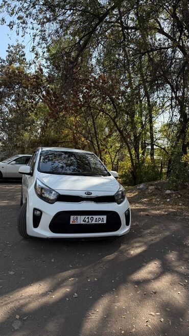сколько стоит питбайк: Kia Morning: 2017 г., 1 л, Автомат, Бензин, Хэтчбэк