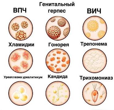 Медицинские услуги: Клиника, Лаборатория, диагностический центр, Врачи | Уролог | Анализы, Диагностика, Обрезание — 3