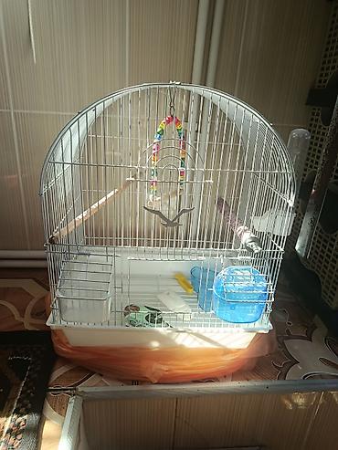 qizil qus: Quş qəfəsi – aksesuarlarla birlikdə - Forma: yarımdairə damlı, metal — 1