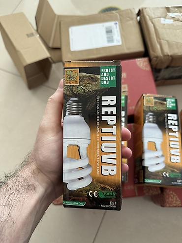 uvb: 💡Peşəkar Reptile UVB Lampa – Sağlamlıq və Güclü İnkişaf üçün! 🦎🌞 26W — 2