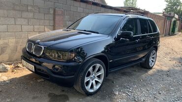 вмв 3: BMW X5: 2001 г., 4.4 л, Автомат, Бензин, Внедорожник