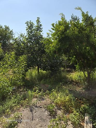 qusarda yer satilir: Həyətyanı torpaq sahesi 4 sot yarimdir sokar poliklinka ilr uzbruz su — 6