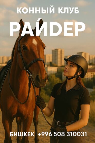 палочка чоппера читать 1: 🏇 Конный клуб "Райдер" — обучение верховой езде с нуля! 📍 Бишкек | 📞