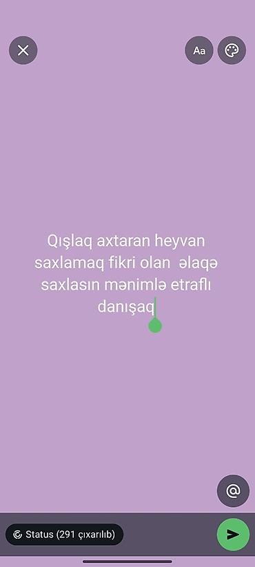 ev heyvanlarının satışı: Qışlaqda heyvan saxlamaq üçün yer və xidmət təklifi - Qış mövsümündə — 1
