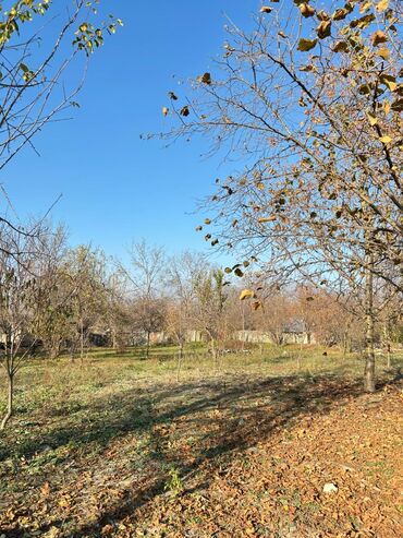 Torpaq sahələrinin satışı: 17 sot, Tikinti, Mülkiyyətçi, Kupça (Çıxarış) — 4
