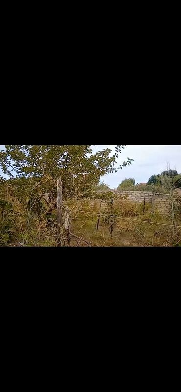 купить участок в бильгя: Для строительства, Собственник, Купчая